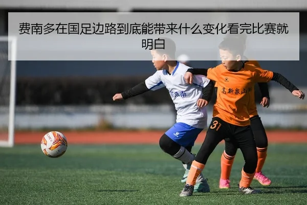 img_1780552683916_12_2_974.jpg